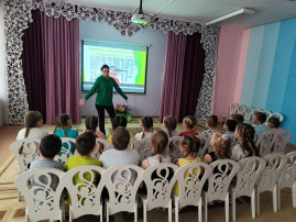 Синицы национального парка Синицы национального парка.